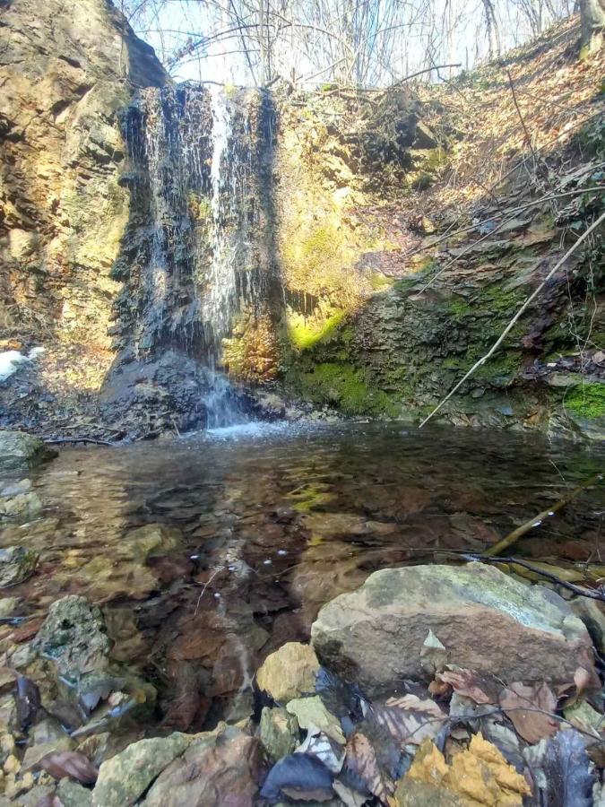 Pensjonat Skriveni Raj Gornji Milanovac Zewnętrze zdjęcie